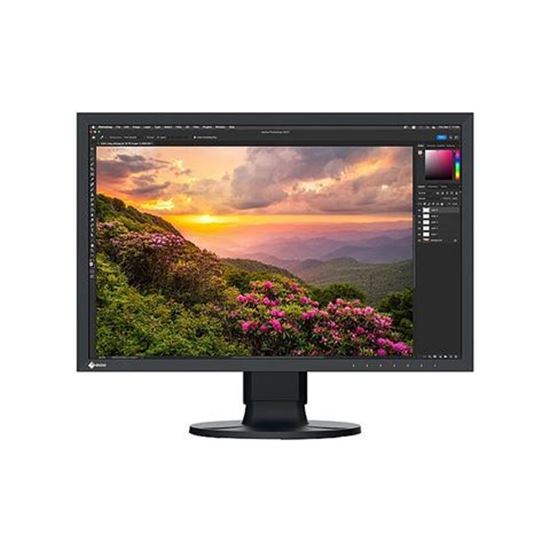 Slika MON 24 EIZO CS2400S IPS